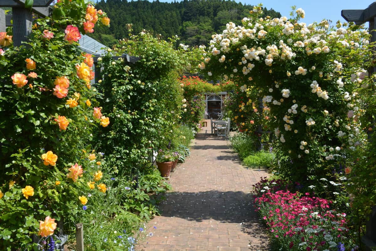 花の季節には、ガーデン内が色鮮やかに彩られる（写真提供：雄勝ローズファクトリーガーデン）