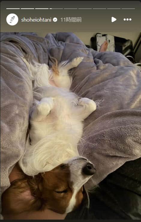 大谷翔平選手のインスタグラム（＠shoheiohtani）より