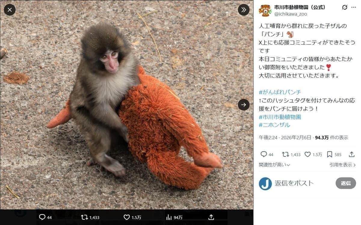 子ザル「パンチ」、公式LINEスタンプが「緊急発売」　パンチのいる動植物園への寄付も受け入れ開始