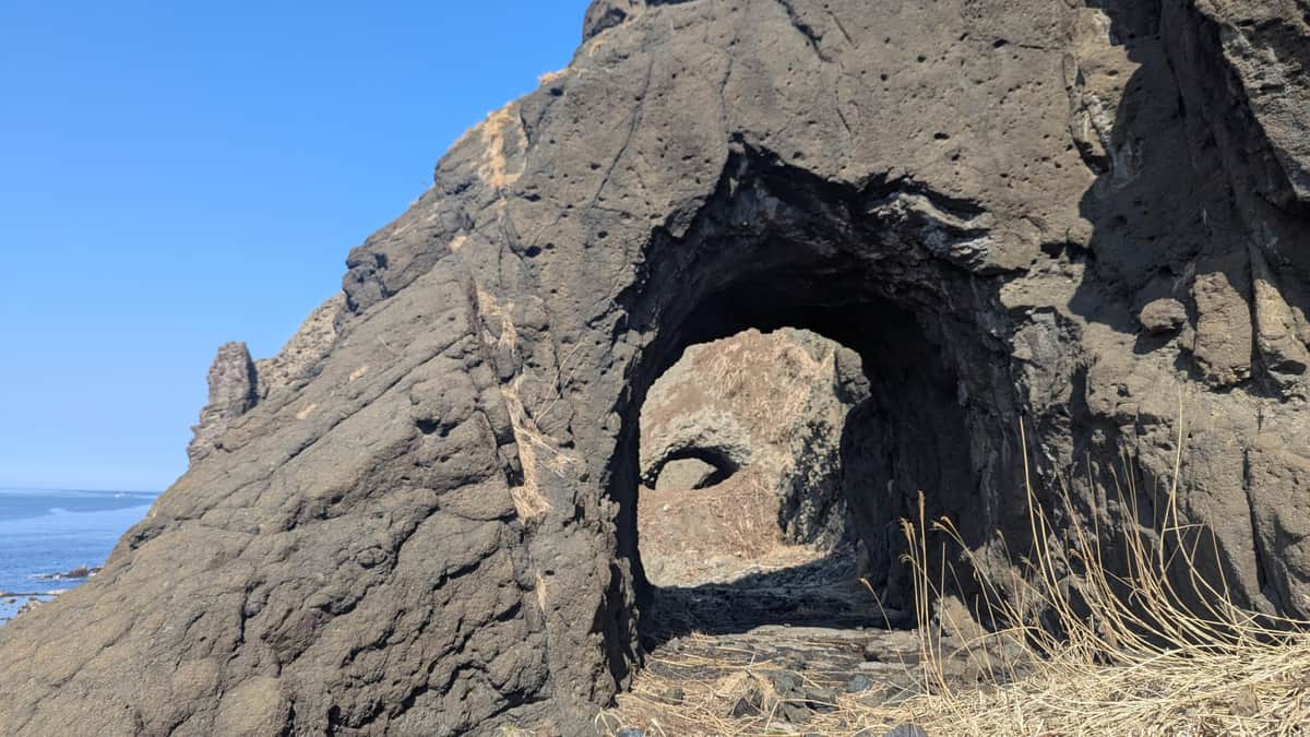 大型のヒグマが出てきたトンネル（提供者：銭函トレッキングさん／@zenibako_trek）