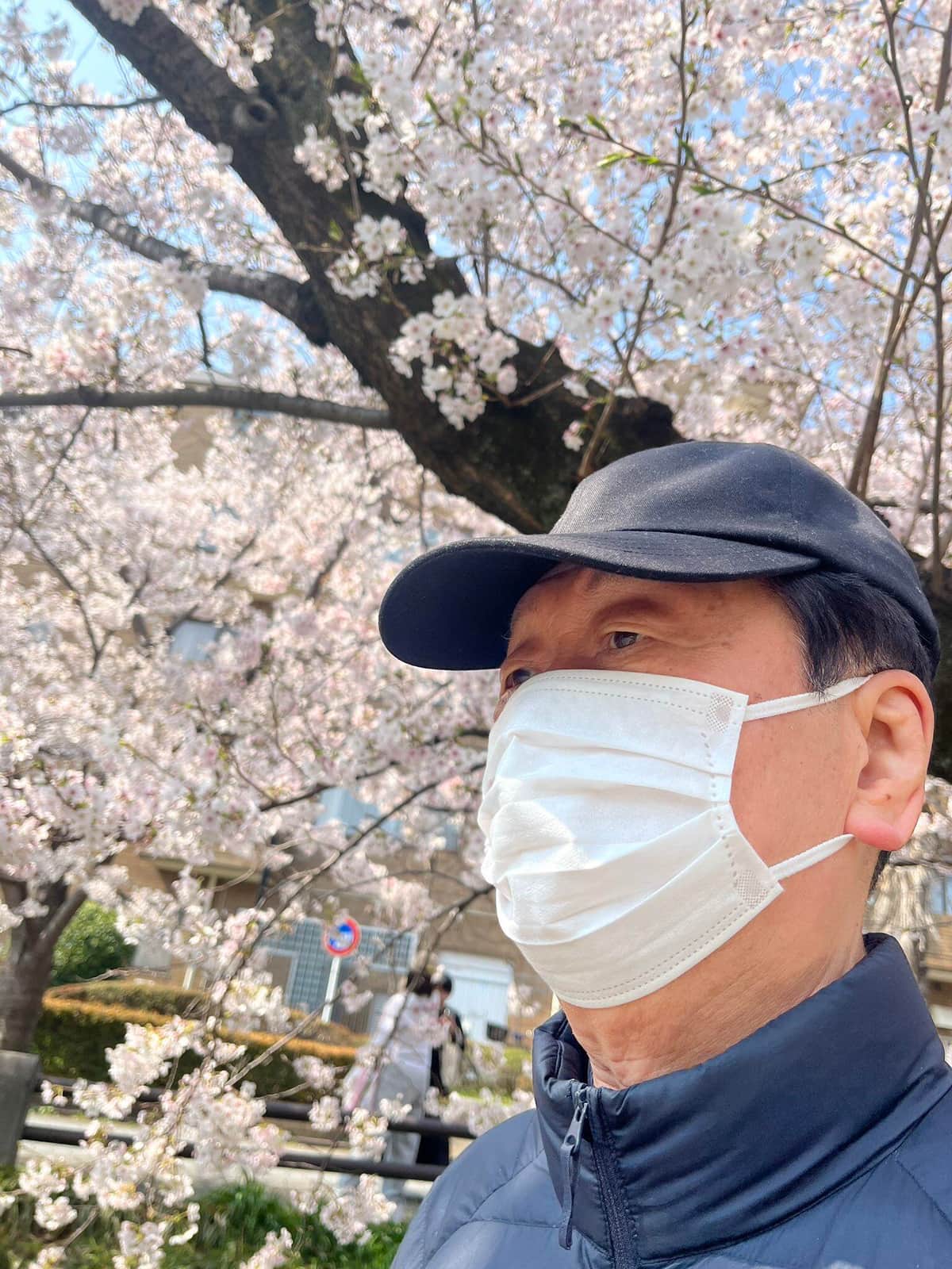 桜並木を散歩する小沢一郎氏（小沢氏事務所のXから）
