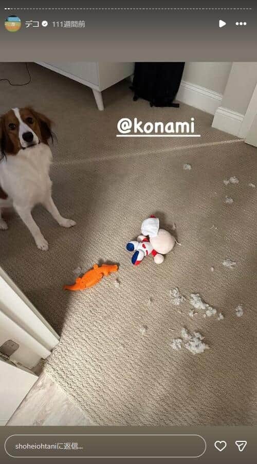 大谷翔平選手のインスタグラム（＠shoheiohtani）より