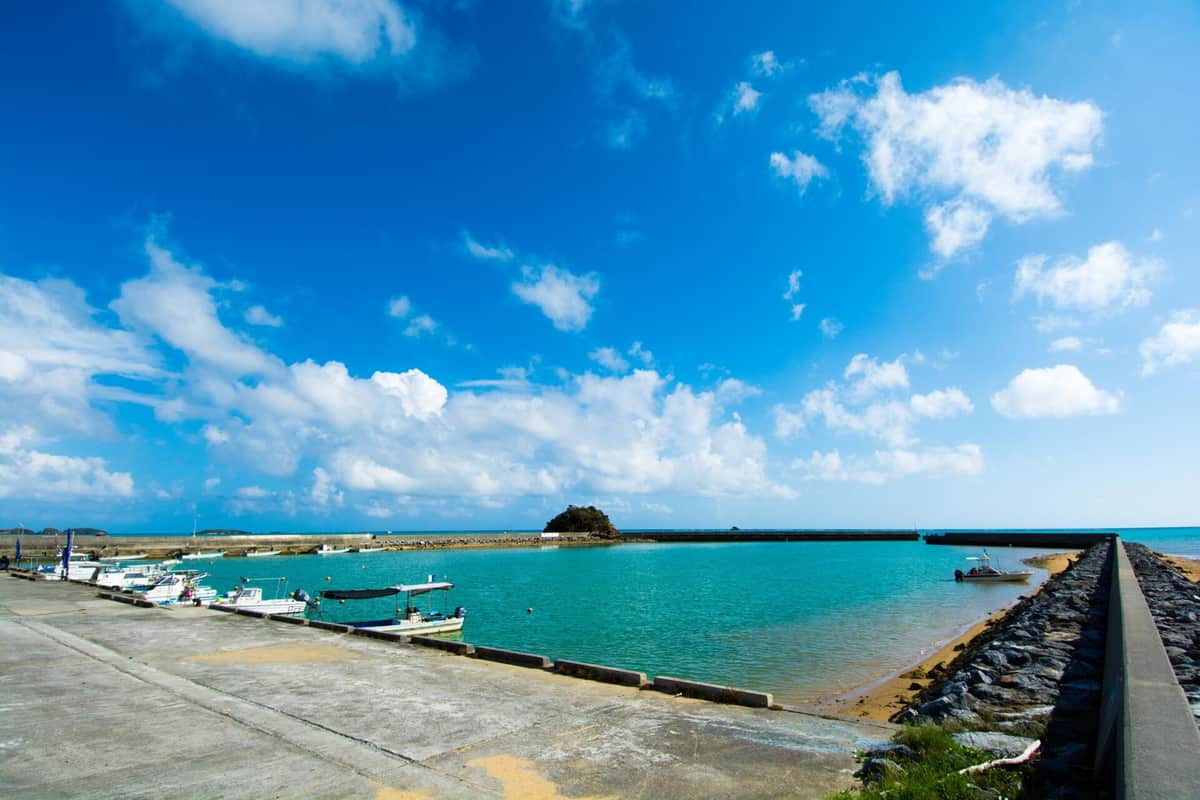 辺野古沖事故「他責、すり替え」はおかしい　被害者は「誰かの主張のために沖縄へ行ったわけではありません」