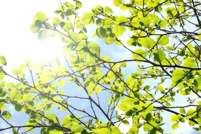 全国各地で季節外れの真夏日　石原良純さん「僕らも生活習慣を変えなければ」...地球の温暖化現象に危機意識