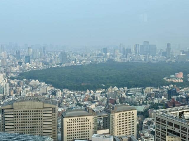 黄砂とアレルギーの関係は重大な関心事だ（写真はイメージ）