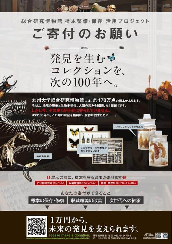 「いまだ100年近く前の標本箱と棚に収納」驚きの実態明かす　九大博物館が3000万円を目標に寄付呼びかけ