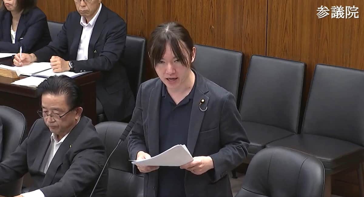 「AI失業」について質問するチームみらいの安野貴博党首（写真は参院インターネット中継から）
