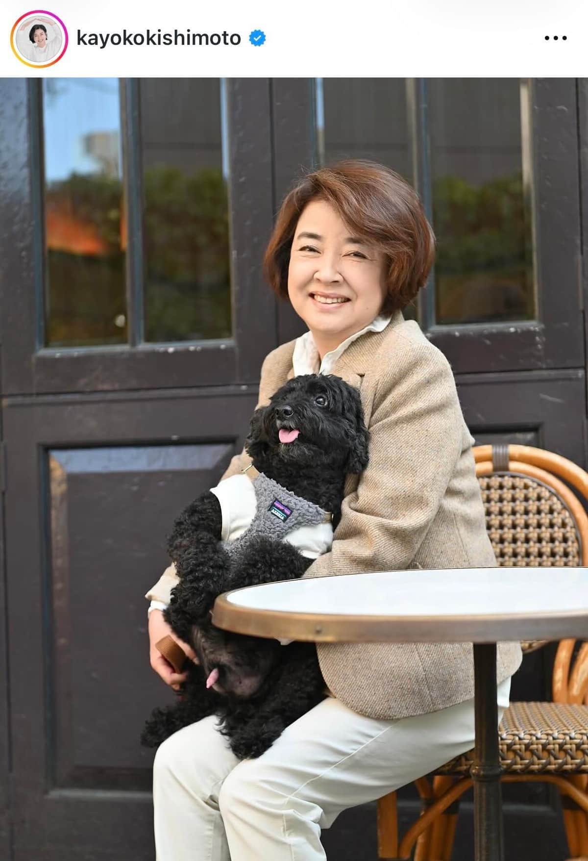「20年振りに直ちゃんと再会して飲みました」岸本加世子＆飯島直子、密着仲良し2ショットに反響「お綺麗です」