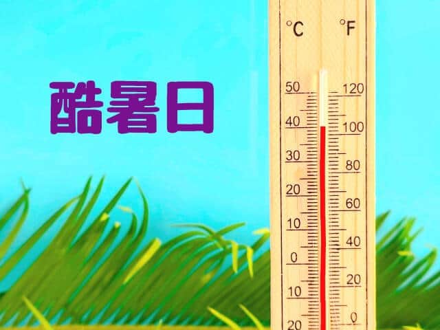 今年初の「酷暑日」、40度超えたのはどこ？　ミヤネ屋、「速報です！」と伝える