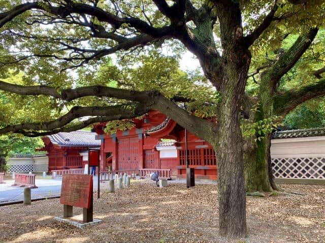 東京大学の次期総長（学長）に藤垣裕子教授が選出（画像はイメージ）