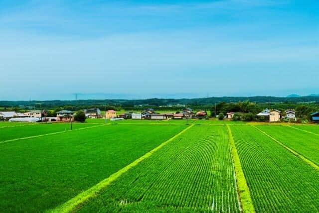 栃木県那珂川町の風景