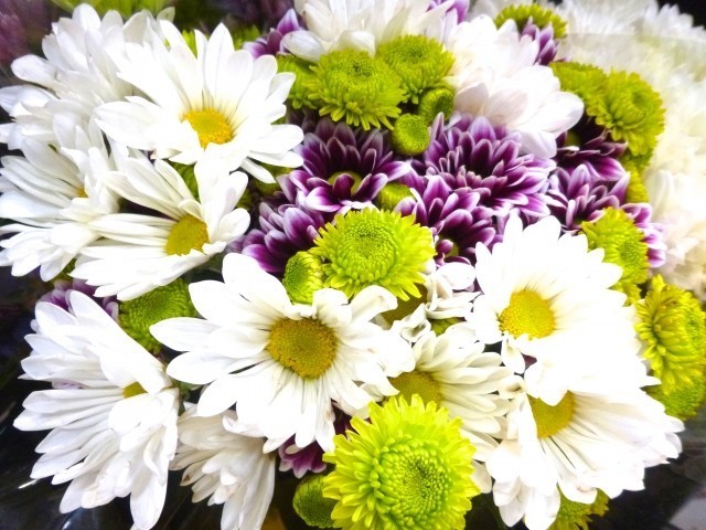 火葬場で棺の花束盗む クビになった職員の動機 J Cast ニュース 全文表示