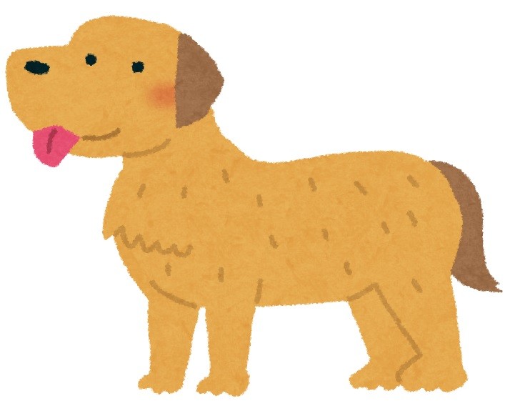 犬の噛み付き 1年間で4000件超 女児死亡で指摘される注意点 J Cast ニュース 全文表示