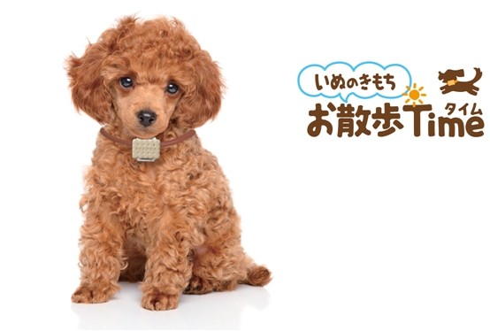 愛犬の散歩の健康チェックアプリ 飼い主も一緒に消費カロリー測る J Cast ニュース