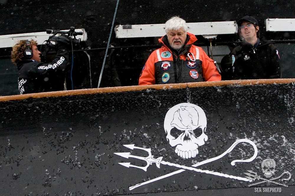 シー シェパードが方針転換 日本の捕鯨船に J Cast ニュース 全文表示