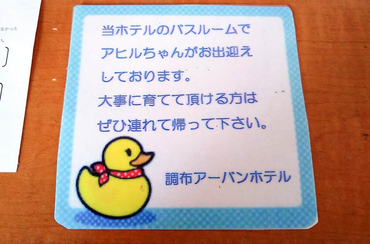ホテル浴室に入ったら「アヒルちゃんがお出迎え」 粋な ホテル浴室に入ったら「アヒルちゃんがお出迎え」 粋な
