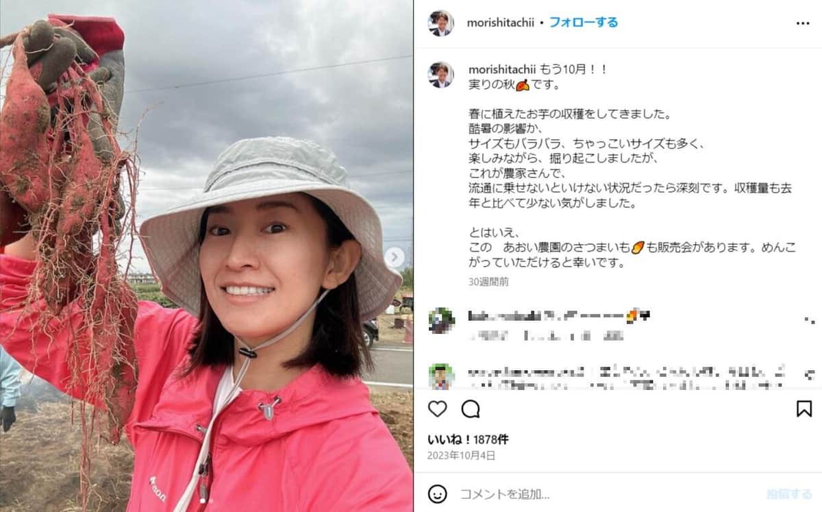 森下千里　衆議院議員　抱き枕　正規品　未使用 森下千里 衆議院議員 抱き枕 正規品 未使用 森下千里 衆議院議員