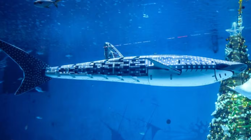 中国・深圳の水族館に「ロボットザメ」 現地で「メカジンベエザメ