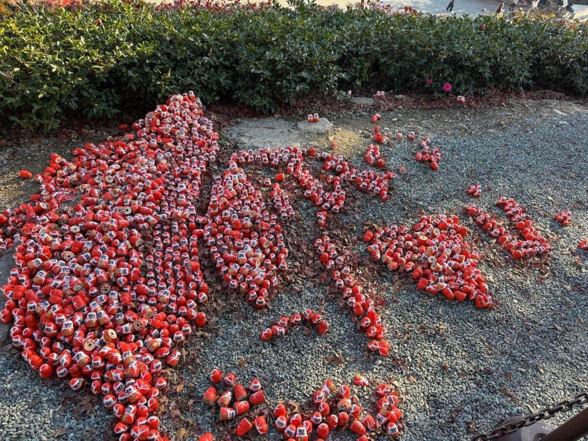 大阪・勝尾寺】「ダルマの台湾島」参拝者破壊でSNS波紋 中国人か？台湾
