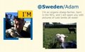 「世界一」に選ばれたスウェーデン政府観光局のツイッターPRがスゴイ