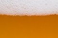 アサヒが欧州のビール4社を買収　販売ネットの活用狙う