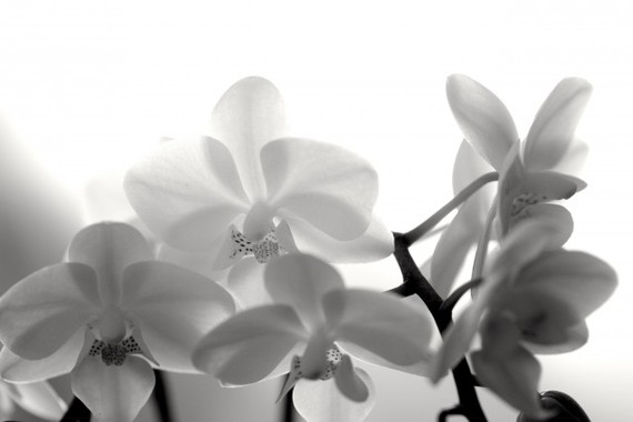 宿題の答え、見つけます。
