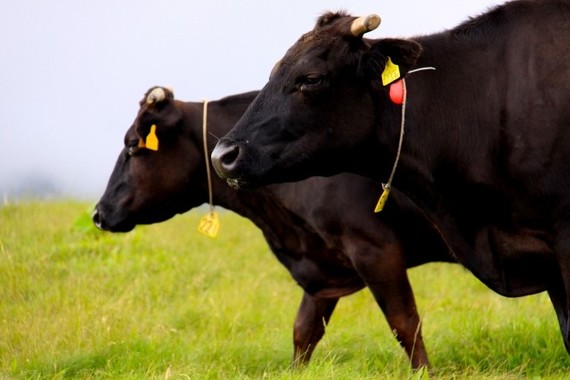 会社を引っ張るのはアナタだ！