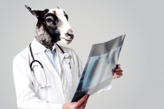 職場は「ブラック」！？
