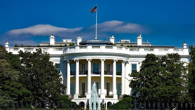 2019年は、この中の人に翻弄されまくった……