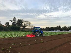 コロナ禍でフードロスが増えているかも……(写真は、集荷できずに廃棄される野菜)