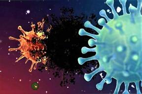 新型コロナウイルスの新たな変異株「Omicron」の恐怖（画像はイメージ）