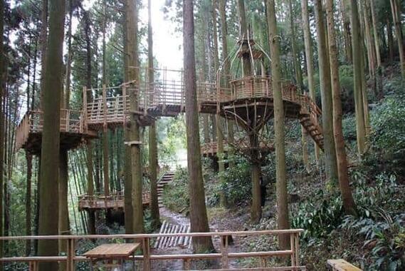 福岡県糸島「白糸の森」にある「森のカフェ」のツリーハウス