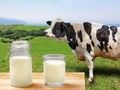 11月も「食品値上げ」続く...「買いだめ利かない」牛乳、乳幼児用粉ミルクが！ 2023年も2000品目超、2～3月に値上げラッシュ再来か