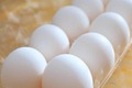 外食メニューから続々と消える「卵料理」　いま何が起きていて、いつもとに戻るのか？