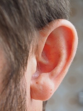 この耳は「聴く」耳でしょうか