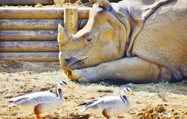 尊敬されないお父さん...　なにが、どこがダメ？（江上剛）