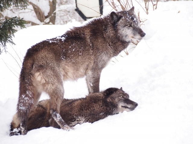 マツコの心理テストがズバリ！　プライドを捨ててこそ浮かぶ瀬もあり