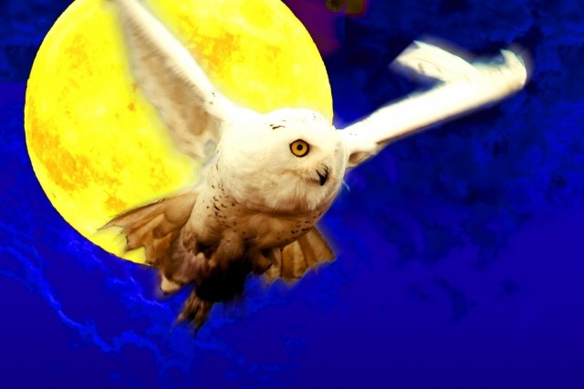 50才、オンライン英会話にハマった理由（8）