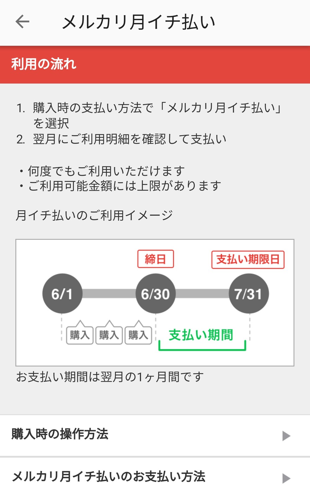 メルカリ「月イチ払い」の利用画面