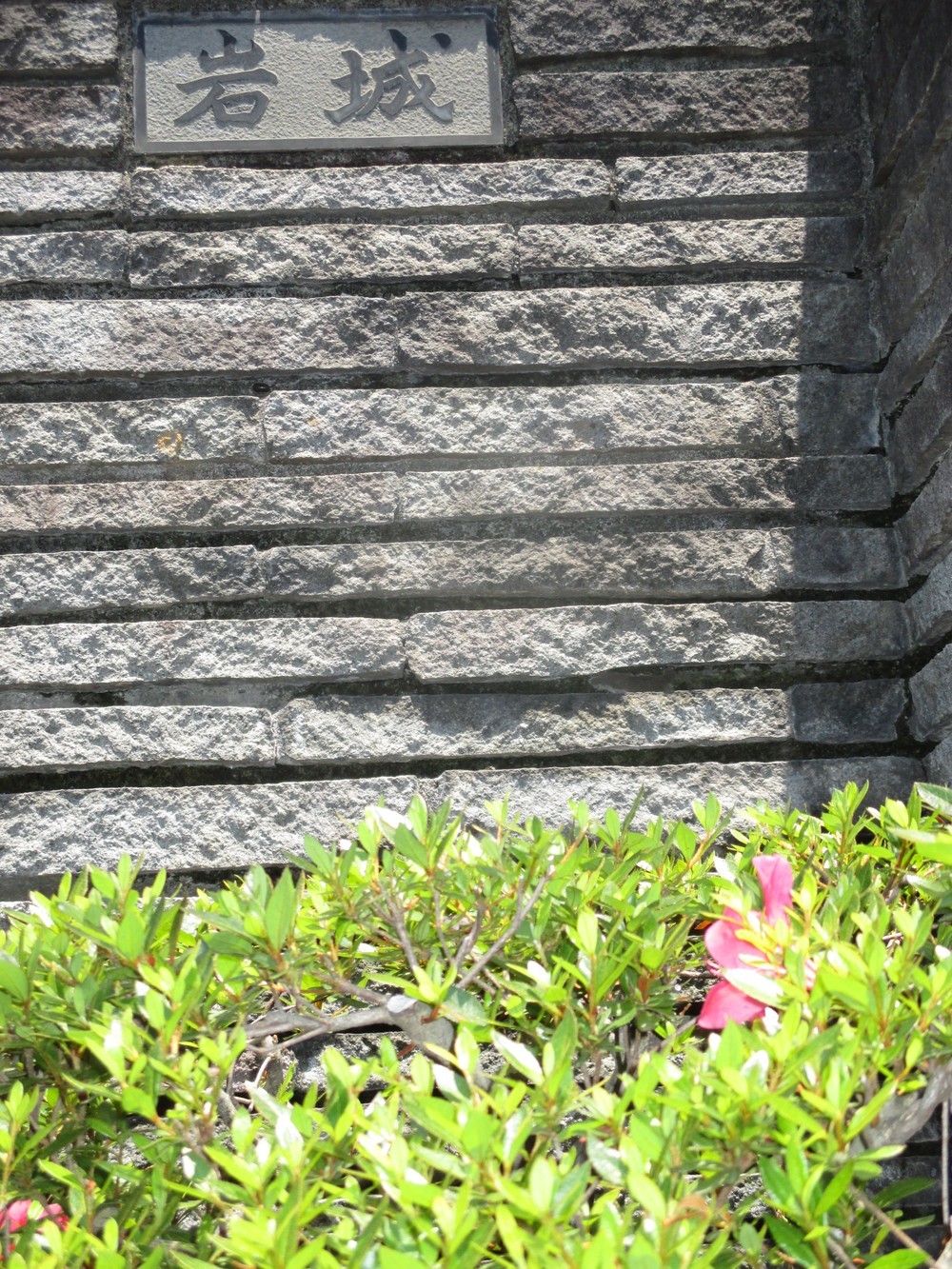 その18　表札　【こんなものいらない！？】