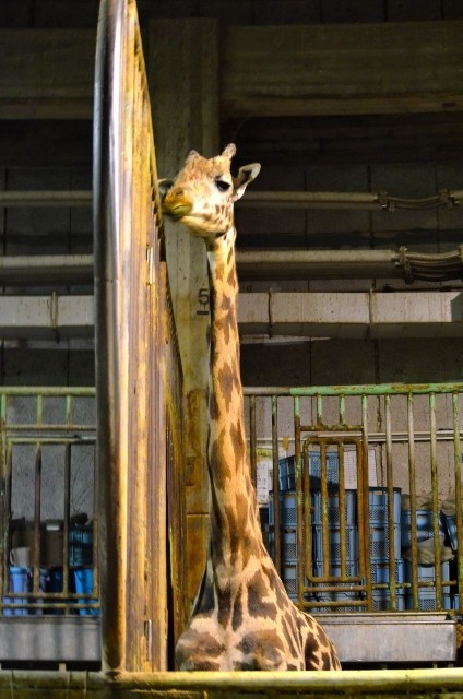 スキマ時間を活用　脳を騙して「習慣づける」作戦（21）