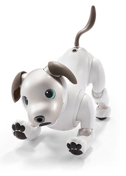 ソニー、ロボット犬「aibo」発売　12年ぶり