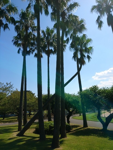 【37】最後までもがけ！　そのひと押しが効く「試験前3時間」の過ごし方（井津川倫子）