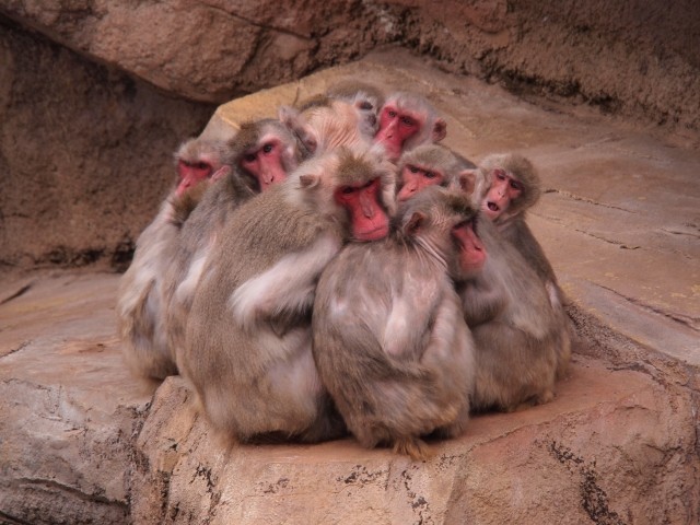 無意識に陥るセクショナリズム！　部門「独立性」の裏側にあるもの（大関暁夫）
