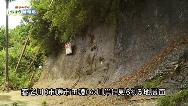 「チバニアン」見学者が急増、警備員、トイレ、「地層」解説... 市原市が対策