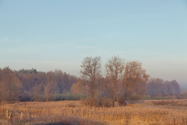 「原野商法は二度だます」！　昔「将来値上がり」、今「高値で買い取り」