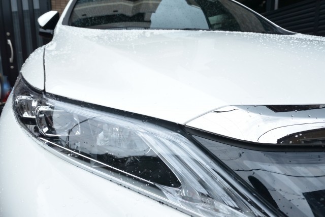 株のおもしろさを知った小糸製作所　業績好調で再び「買い」！（石井治彦）