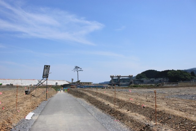 【IEEIだより】福島レポート　「老人力」でエネルギー溢れる復興の街へ（越智小枝）