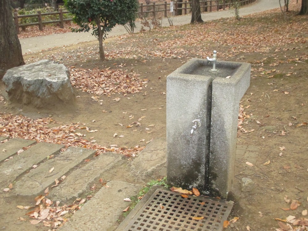水道事業が民営化されれば、今は無料で飲める公園の水道はどうなるのだろうか。