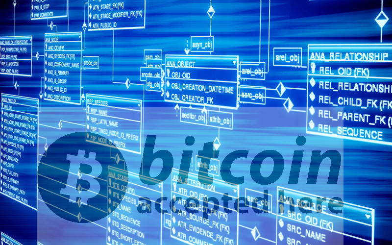 ブロックチェーンが「ネット誕生以来のイノベーション」といわれる理由（気になるビジネス本）